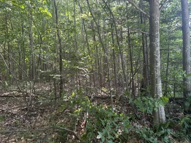 Phelps Road Norwich Township, MI 49651