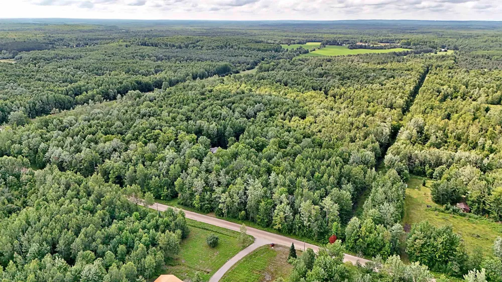 Phelps Road Norwich Township, MI 49651