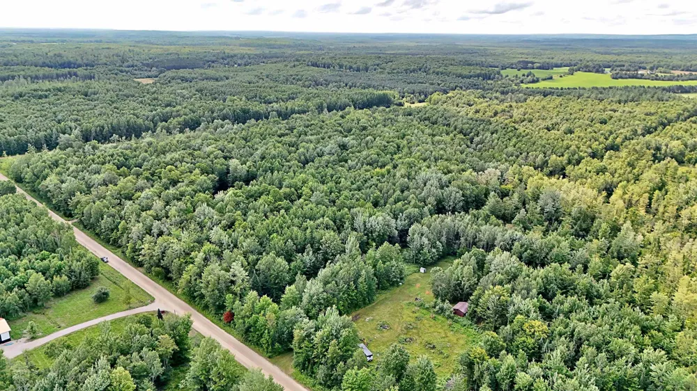 Phelps Road Norwich Township, MI 49651