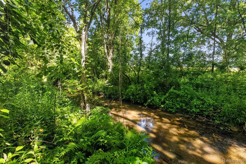 1279 E Burnside Road Deerfield Township, MI 48461