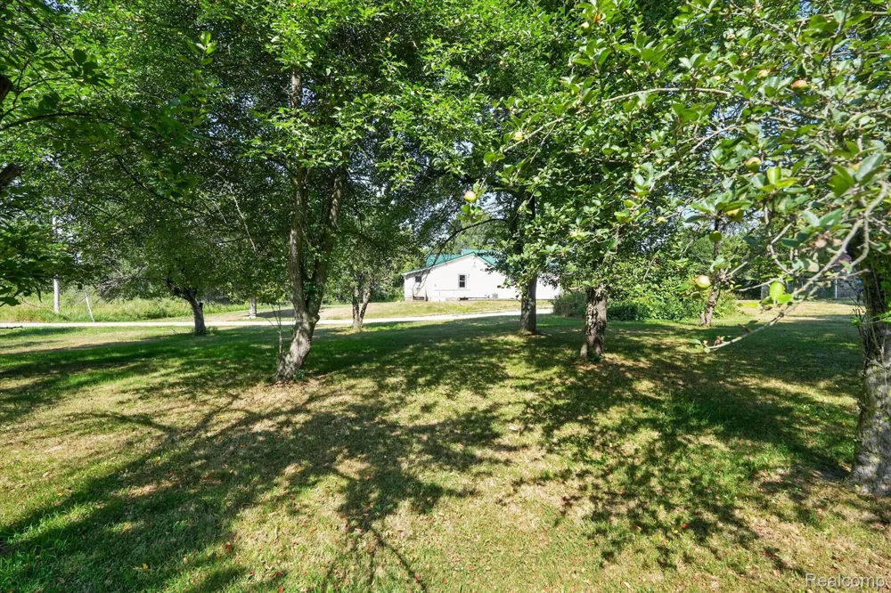 10470 Baldwin Road Gaines Township, MI 48436