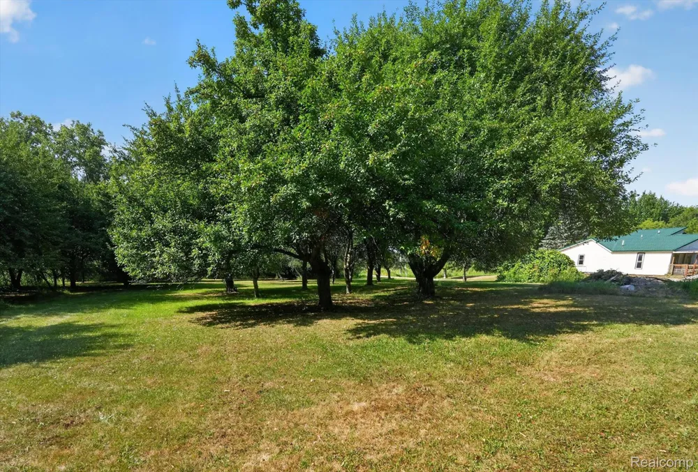 10470 Baldwin Road Gaines Township, MI 48436
