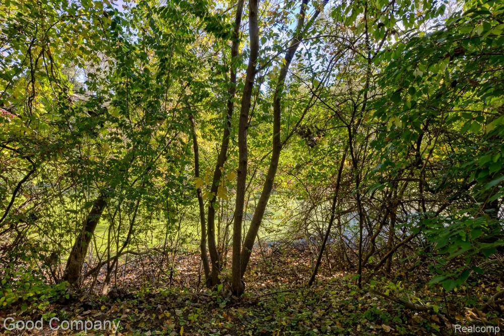 575 Lakes Edge Drive Oxford Village, MI 48371