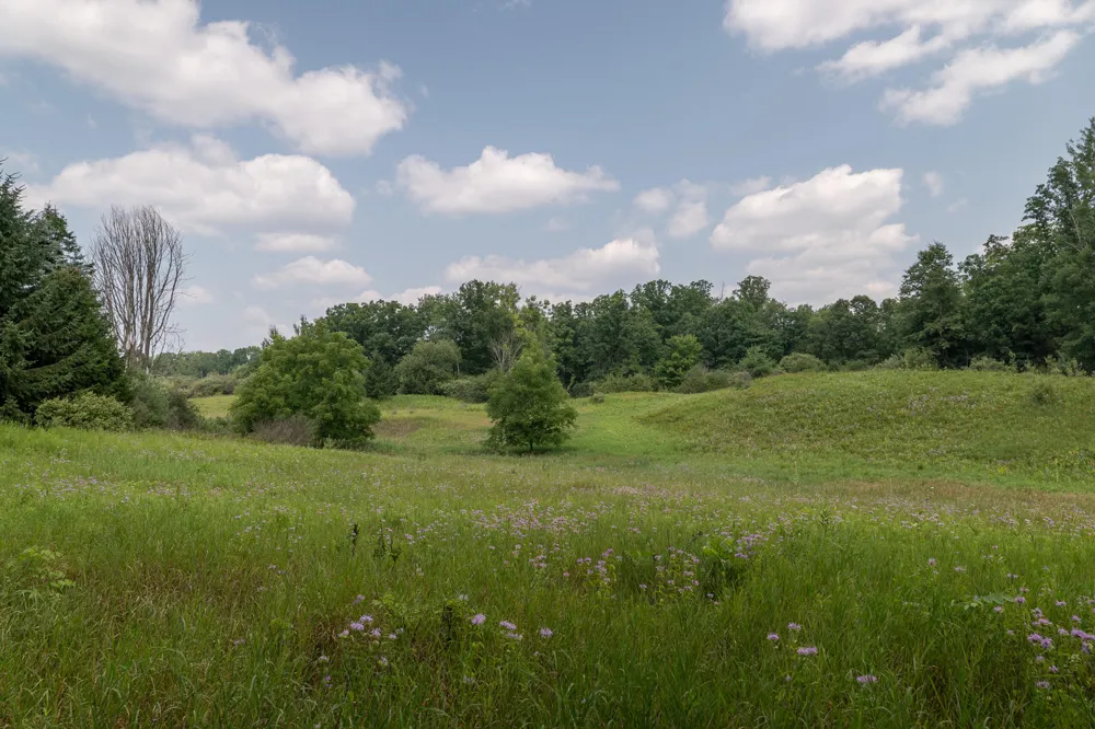 3820 Beech Avenue Goodwell Township, MI 49349