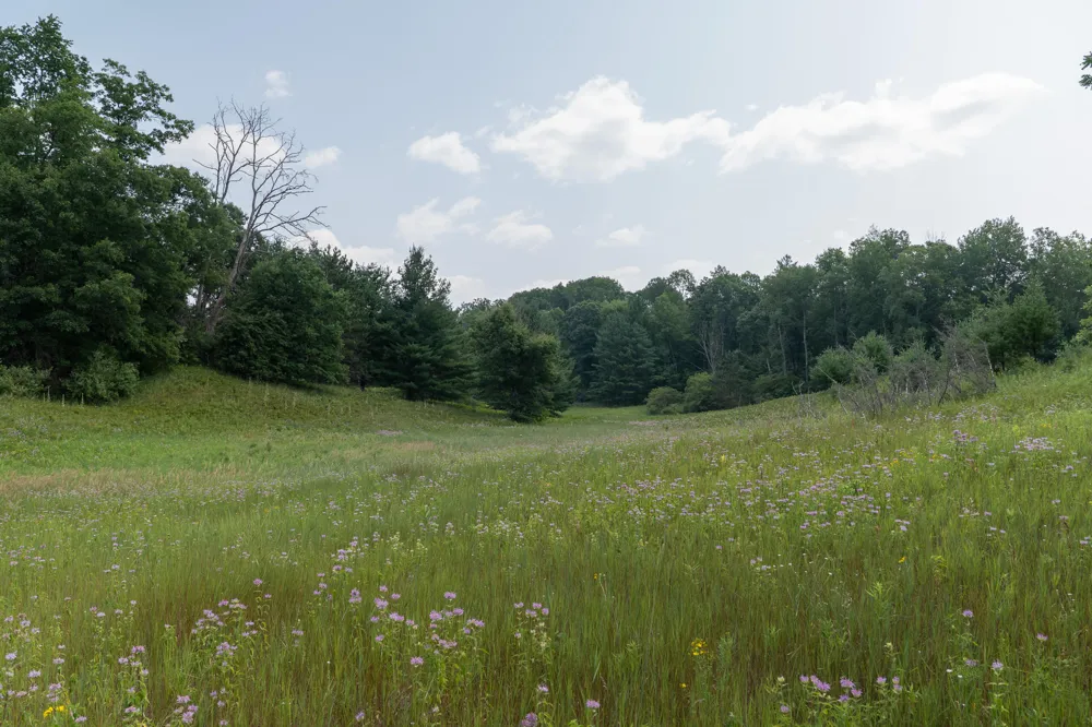 3820 Beech Avenue Goodwell Township, MI 49349