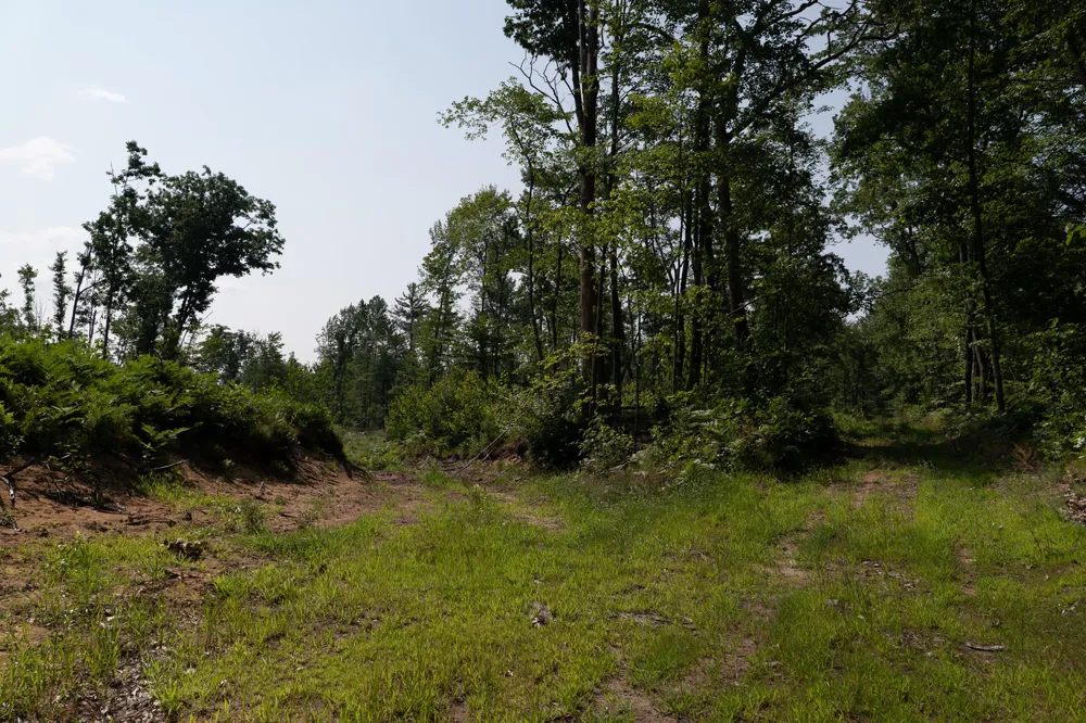 3820 Beech Avenue Goodwell Township, MI 49349