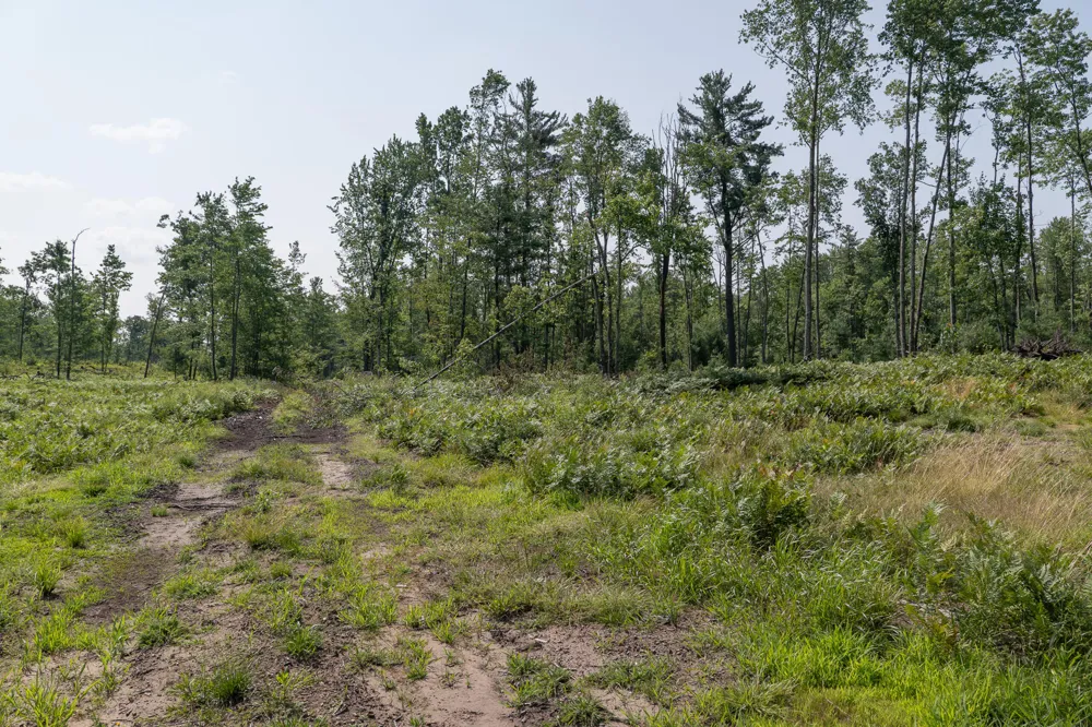 3820 Beech Avenue Goodwell Township, MI 49349