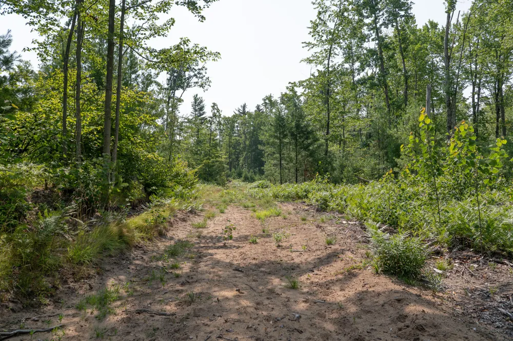 3820 Beech Avenue Goodwell Township, MI 49349