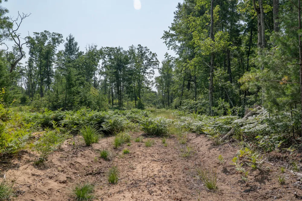 3820 Beech Avenue Goodwell Township, MI 49349