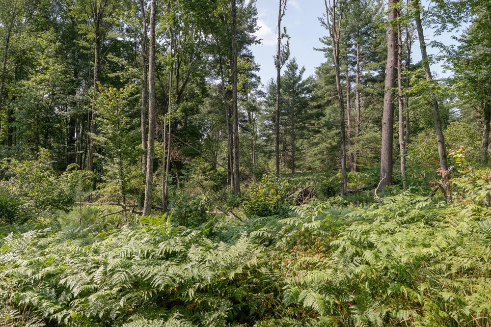 3820 Beech Avenue Goodwell Township, MI 49349