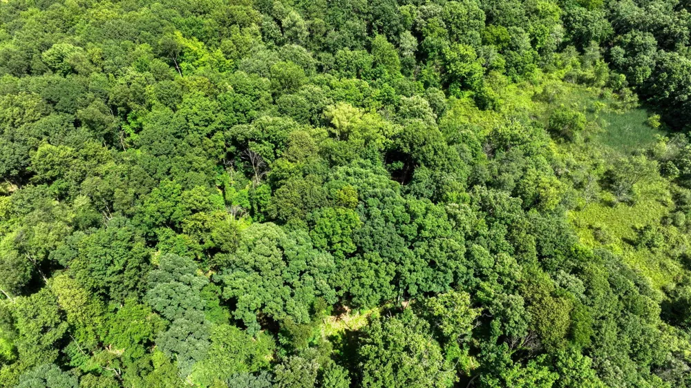 2500 Reynolds Road Spring Arbor Township, MI 49201