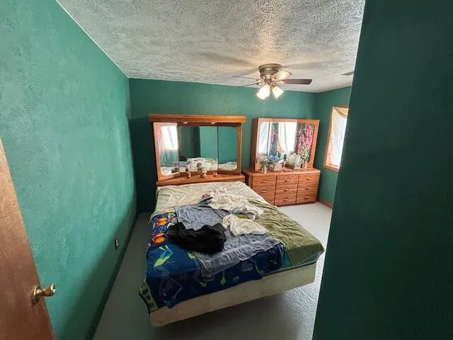 1637 State Road Easton Township, MI 48846