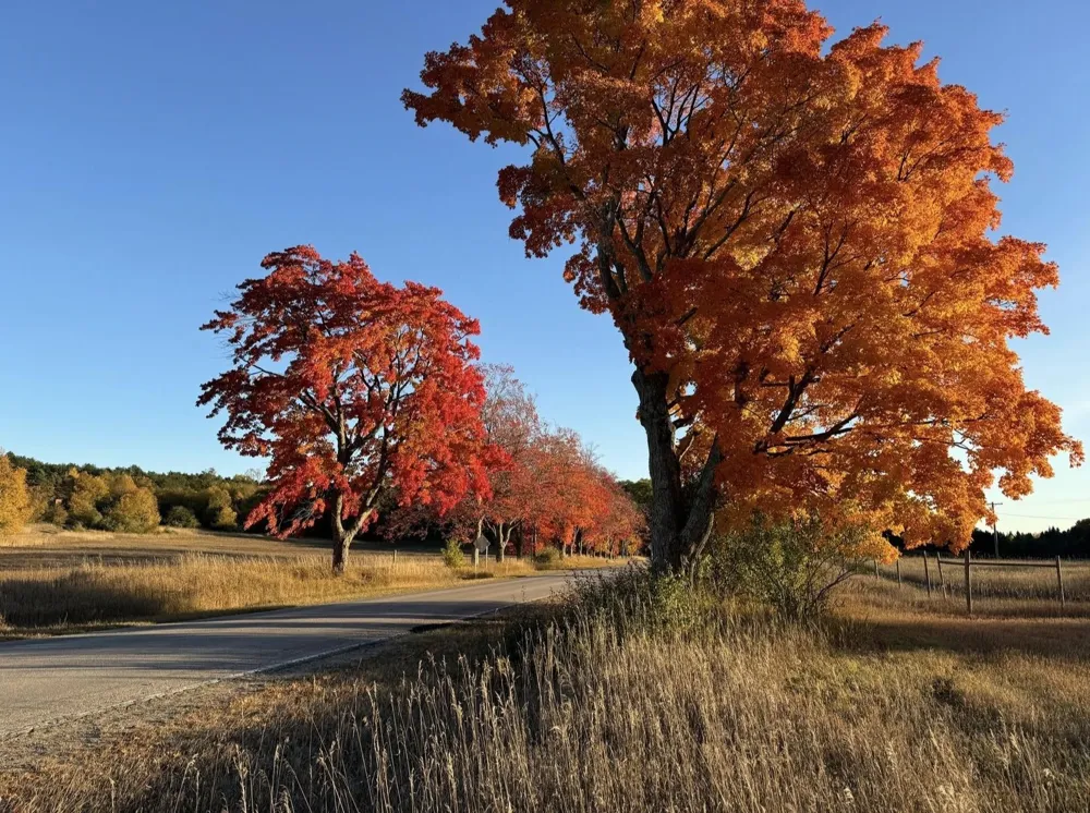 7946 Valley Road Platte Township, MI 49640
