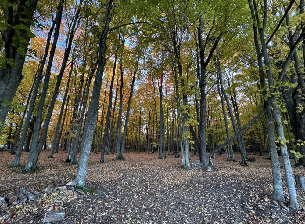 7946 Valley Road Platte Township, MI 49640