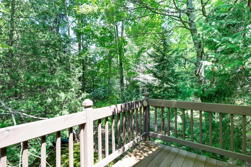 15570 Betsie River Drive Springdale Township, MI 49683