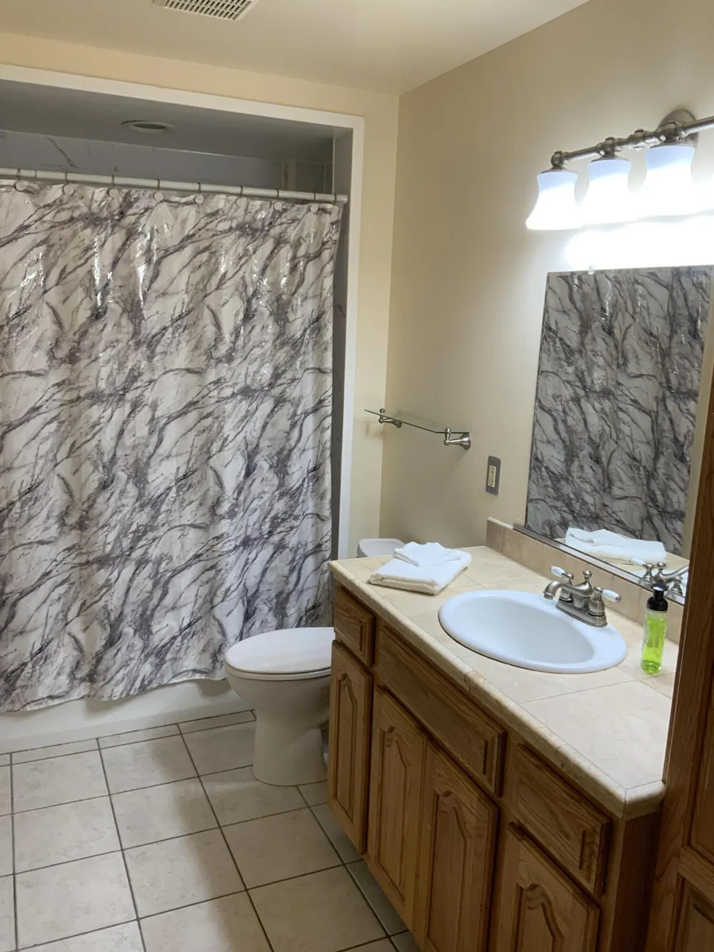 7715 Hidden Knoll Court NE #41 Conway Township, MI 48418