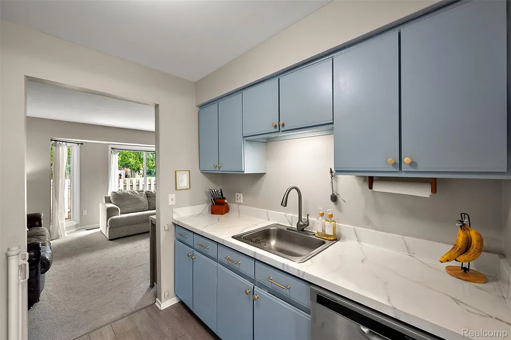 24224 Bashian Drive Novi City, MI 48375
