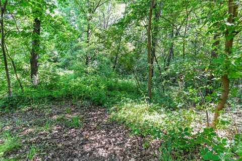 Holdridge Rd