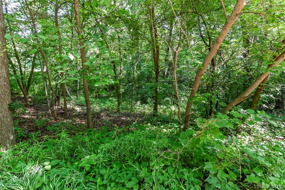 Holdridge Rd Groveland Township, MI 48462