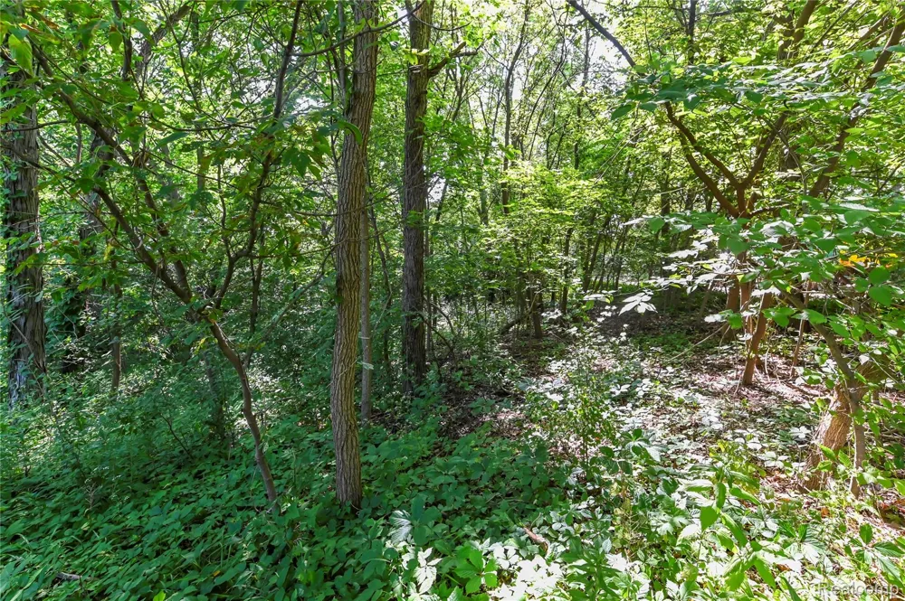 Holdridge Rd Groveland Township, MI 48462