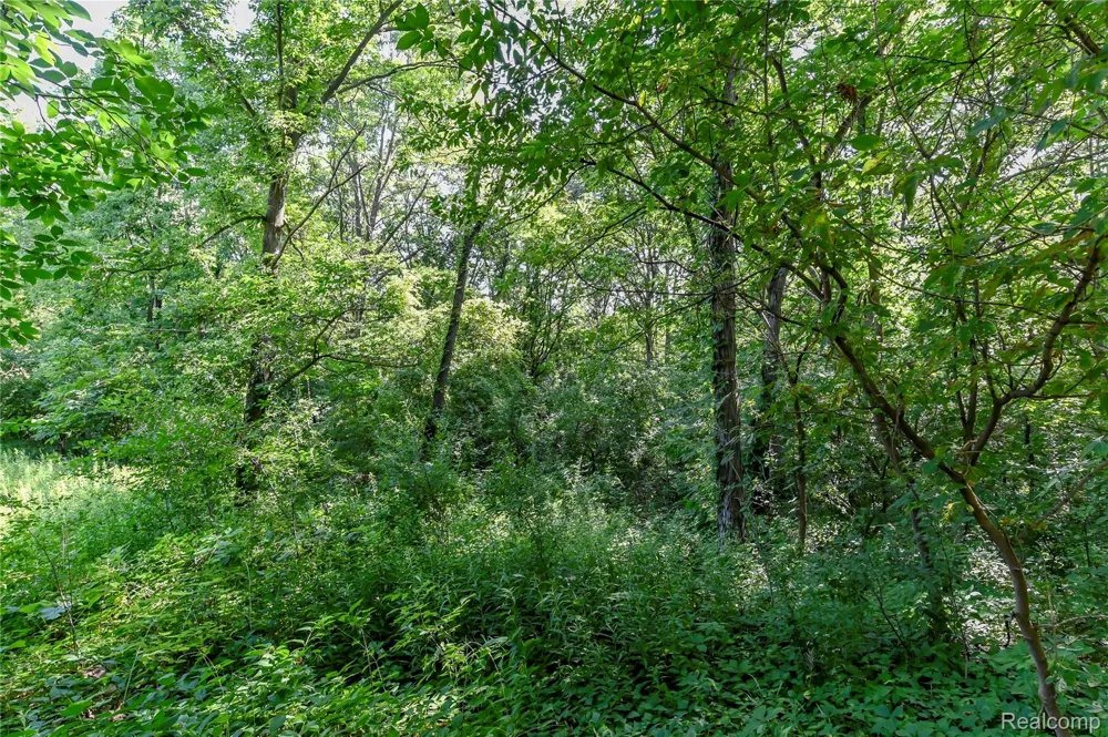 Holdridge Rd Groveland Township, MI 48462