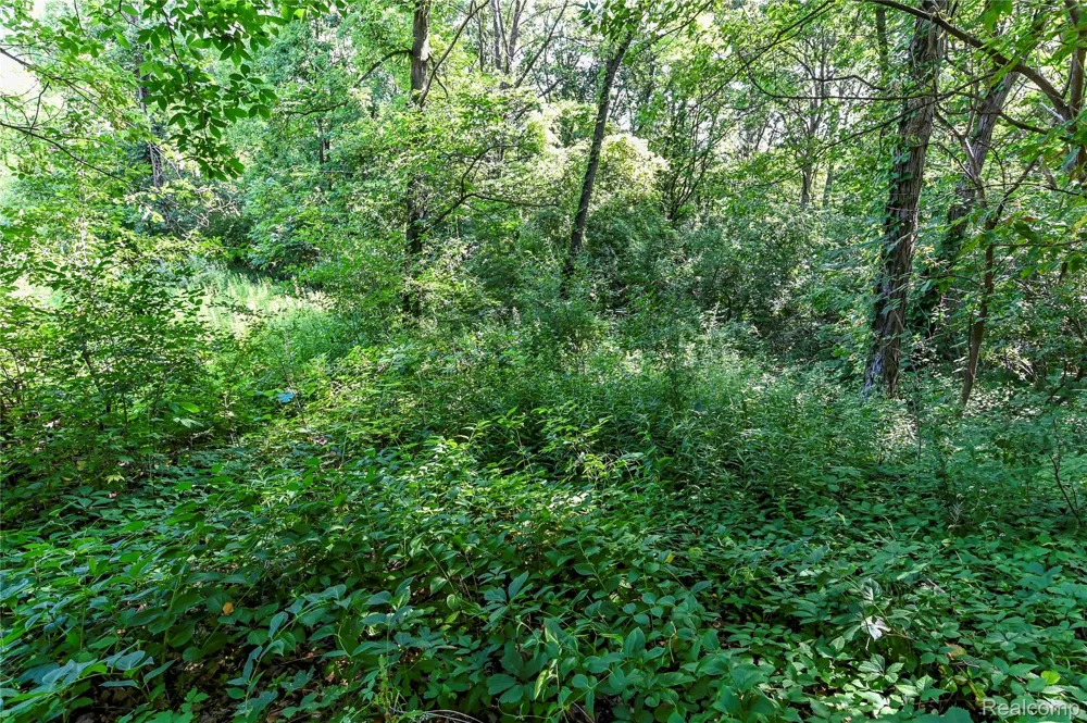 Holdridge Rd Groveland Township, MI 48462