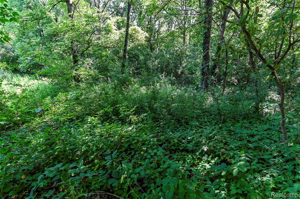 Holdridge Rd Groveland Township, MI 48462