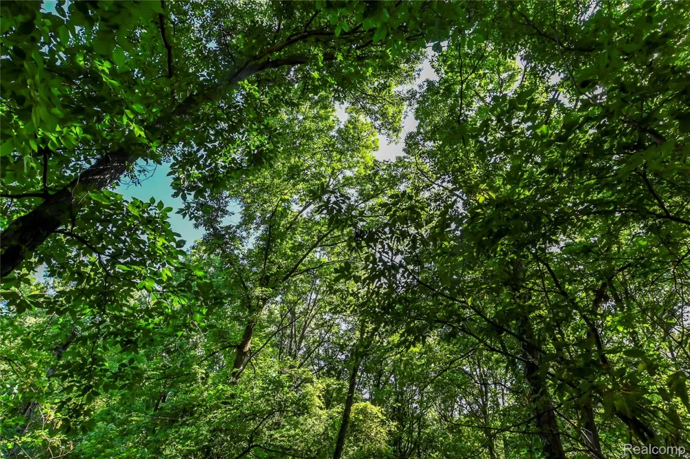 Holdridge Rd Groveland Township, MI 48462