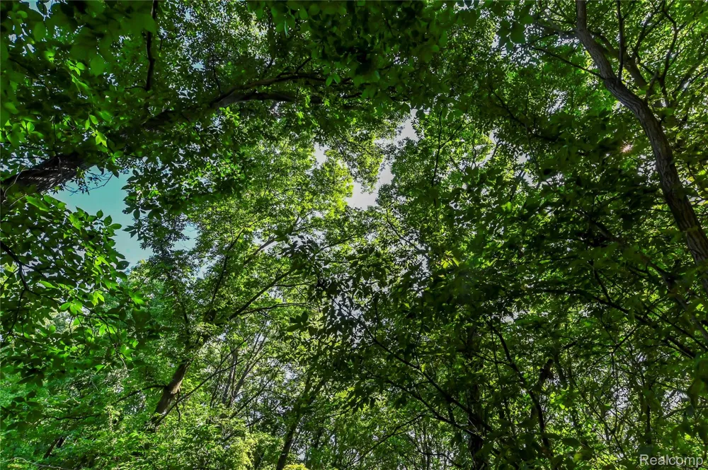 Holdridge Rd Groveland Township, MI 48462