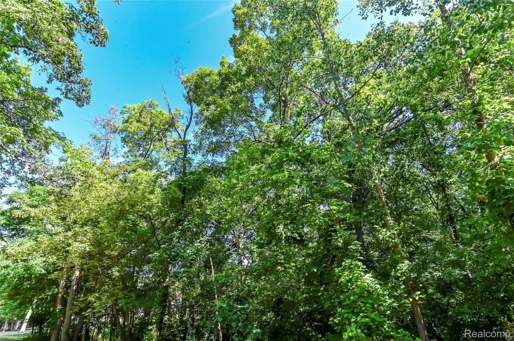 Holdridge Rd Groveland Township, MI 48462