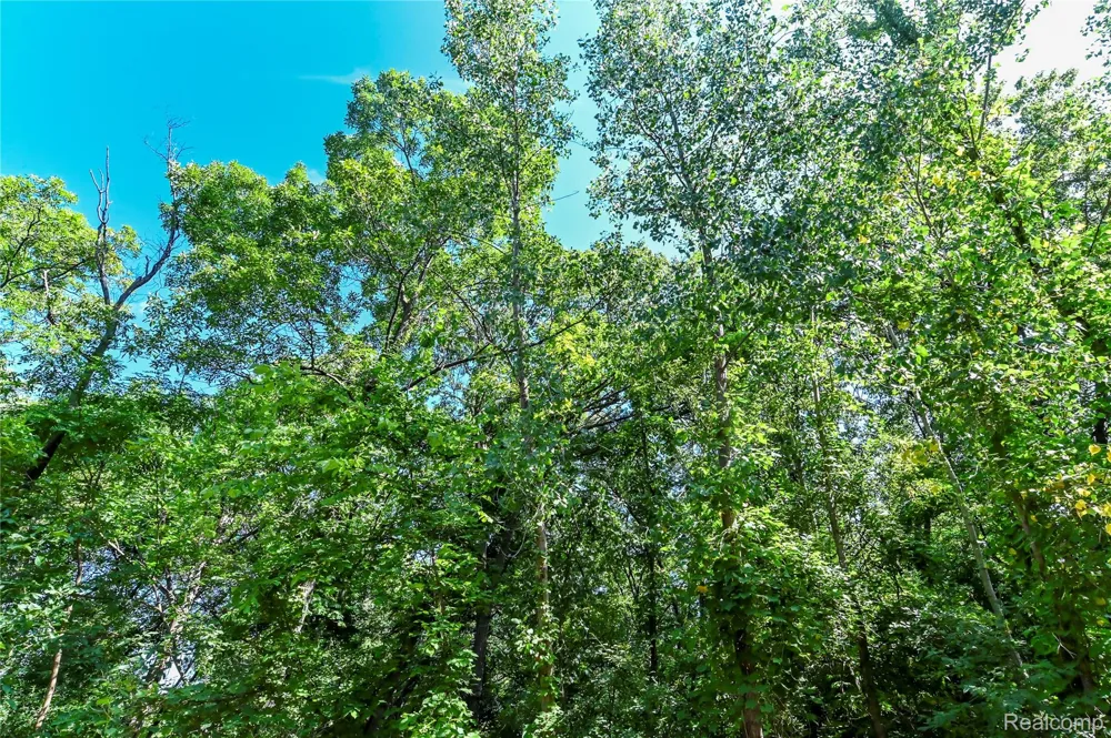 Holdridge Rd Groveland Township, MI 48462