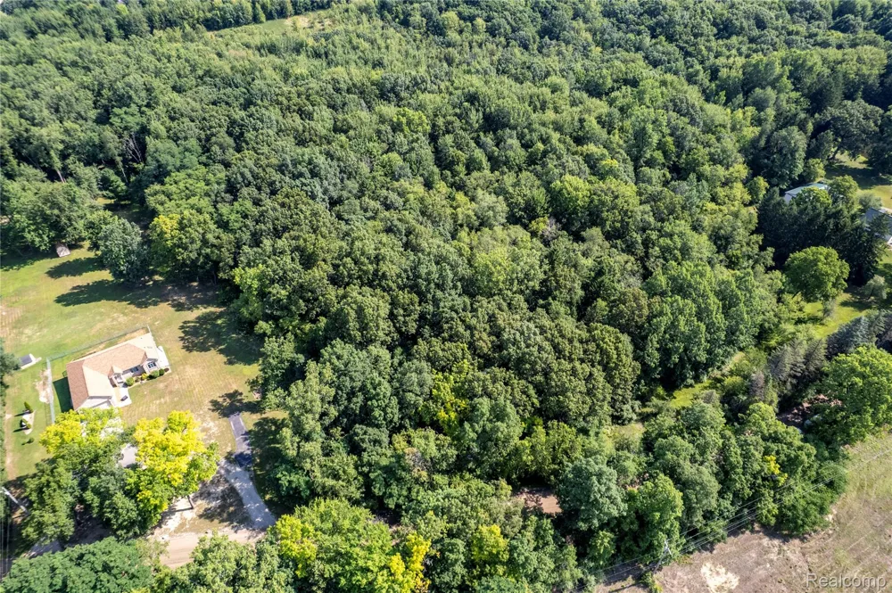 Holdridge Rd Groveland Township, MI 48462