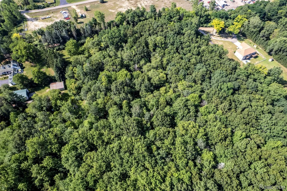 Holdridge Rd Groveland Township, MI 48462