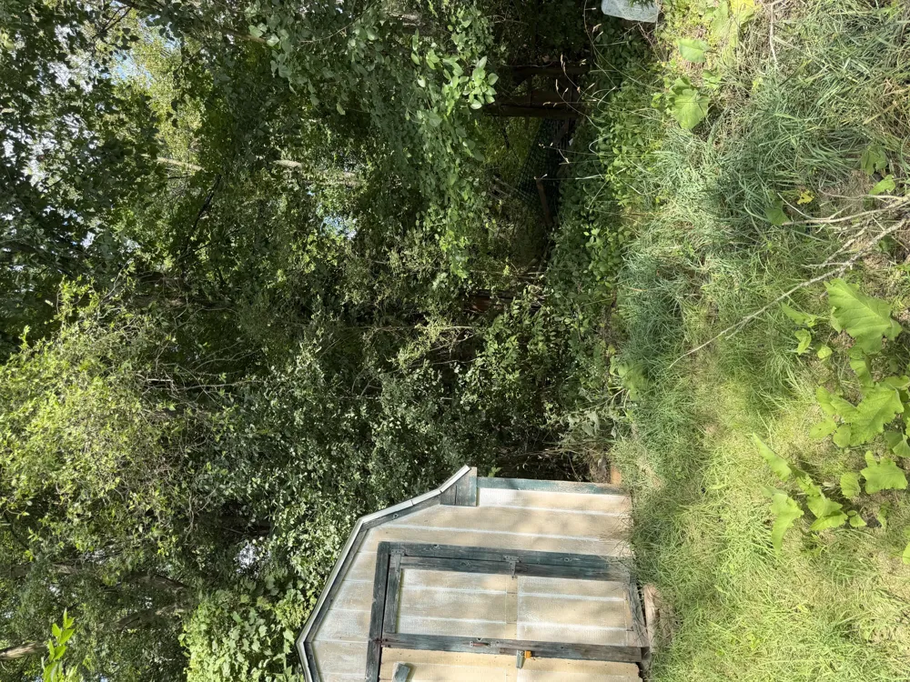 3547 Sechler Drive Leoni Township, MI 49201