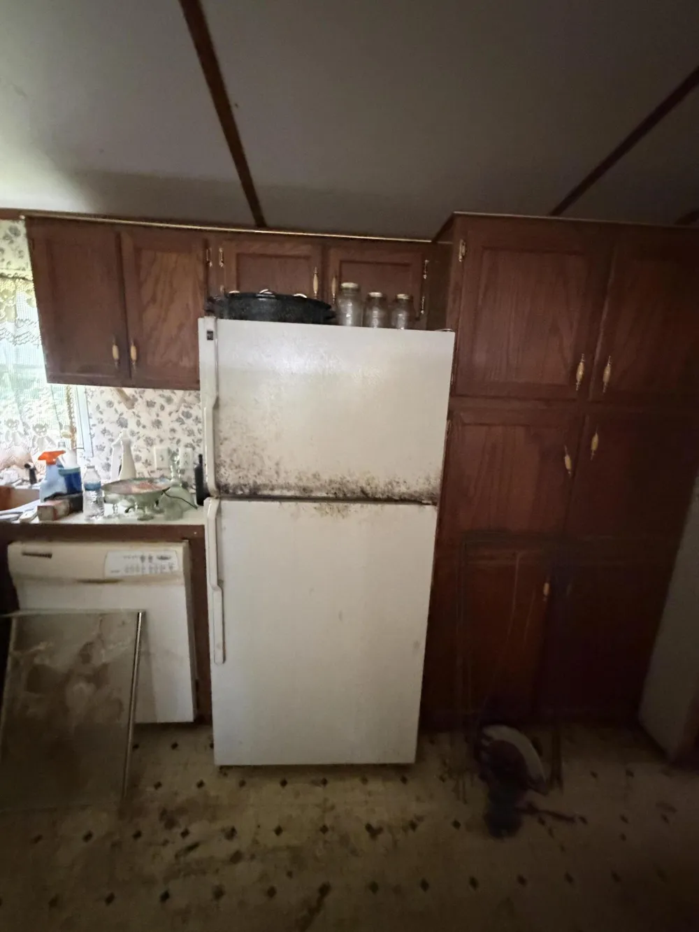 3547 Sechler Drive Leoni Township, MI 49201