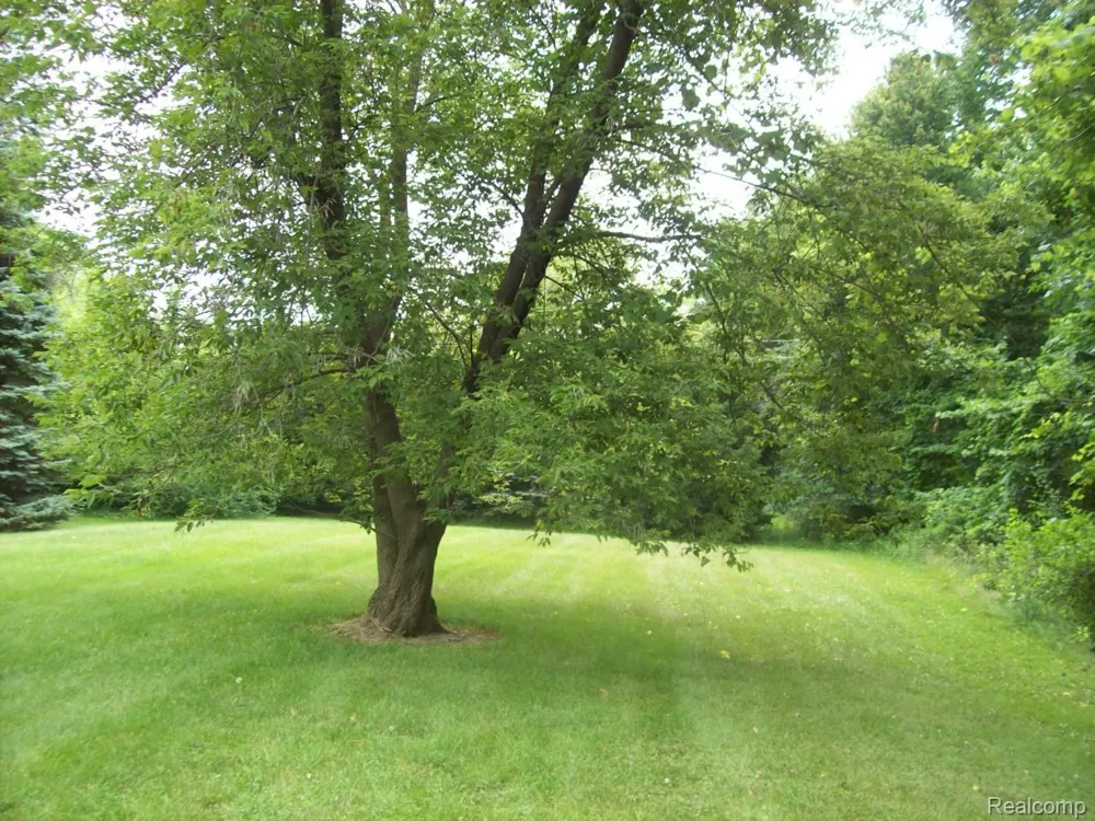 3030 Thomas Road Oxford Charter Township, MI 48371