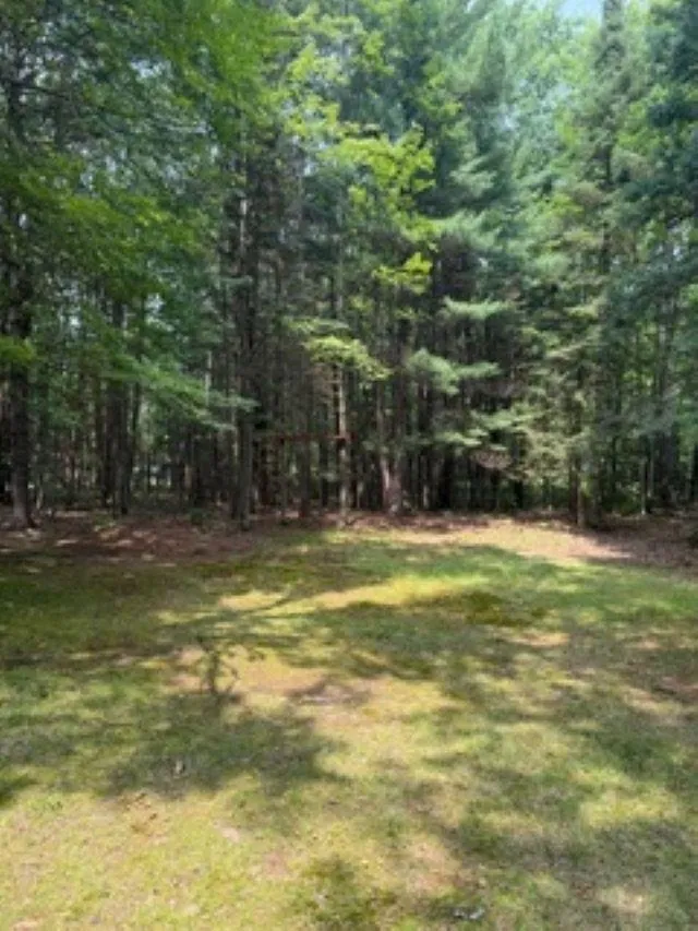 3251 Havenwood Circle Freeman Township, MI 48632