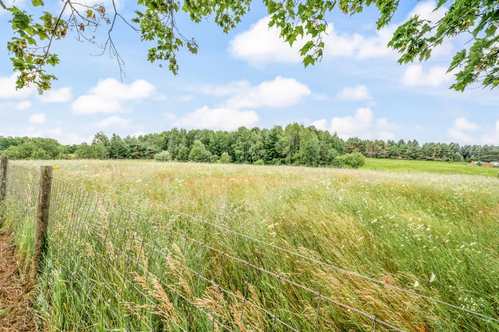 22865 20 Mile Road Burdell Township, MI 49688