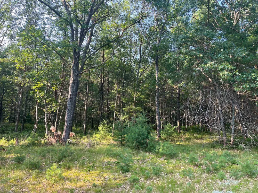 MacKenzie Road Au Sable Charter Township, MI 48750
