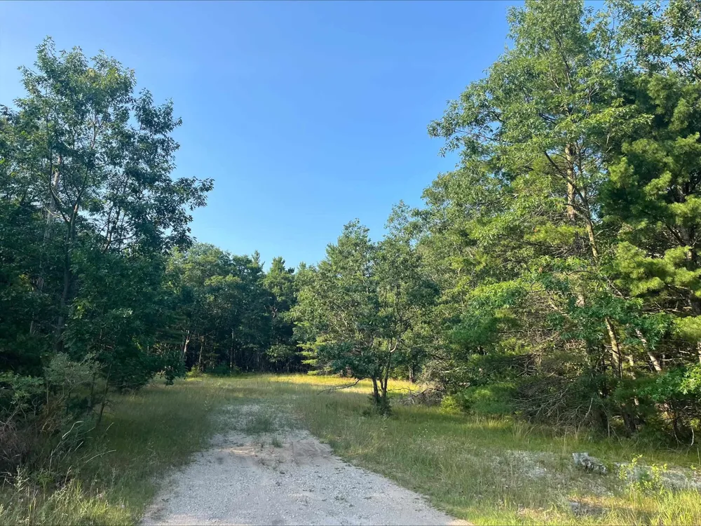 MacKenzie Road Au Sable Charter Township, MI 48750