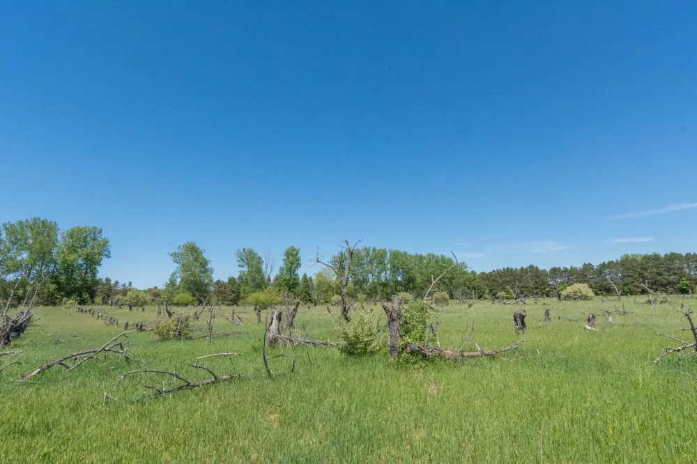 W Ryant Road Cleveland Township, MI 49664