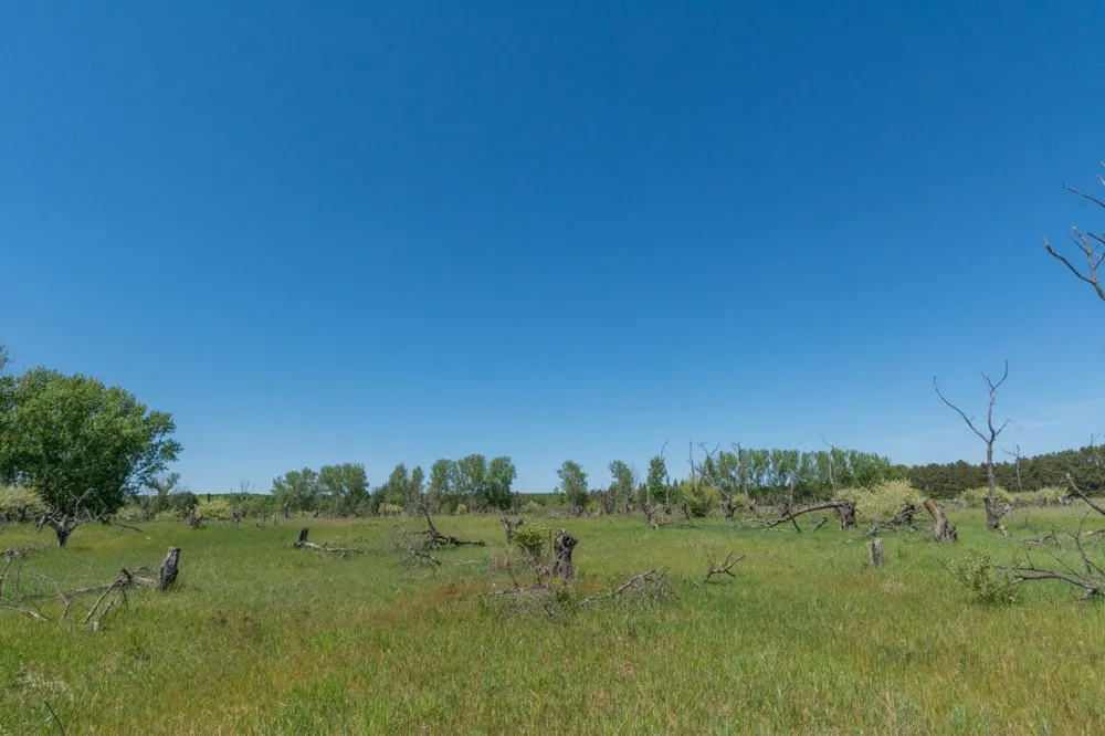 W Ryant Road Cleveland Township, MI 49664