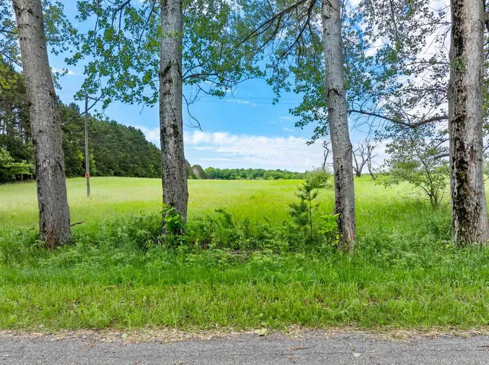 W Ryant Road Cleveland Township, MI 49664