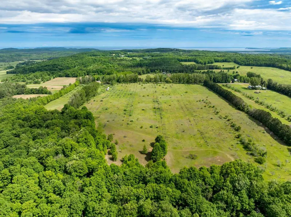 W Ryant Road Cleveland Township, MI 49664