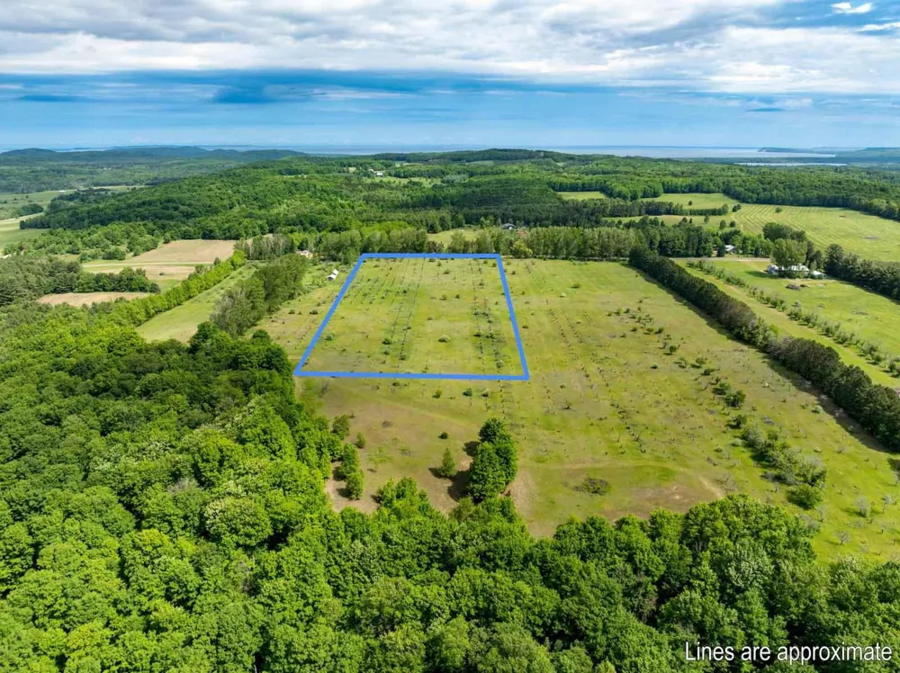 W Ryant Road Cleveland Township, MI 49664