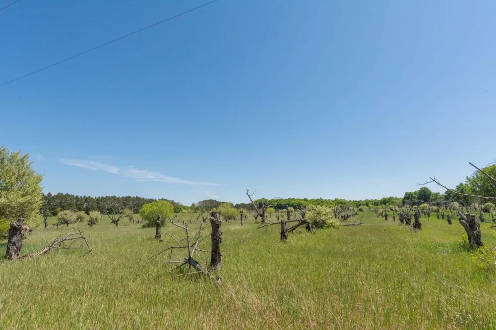 W Ryant Road Cleveland Township, MI 49664
