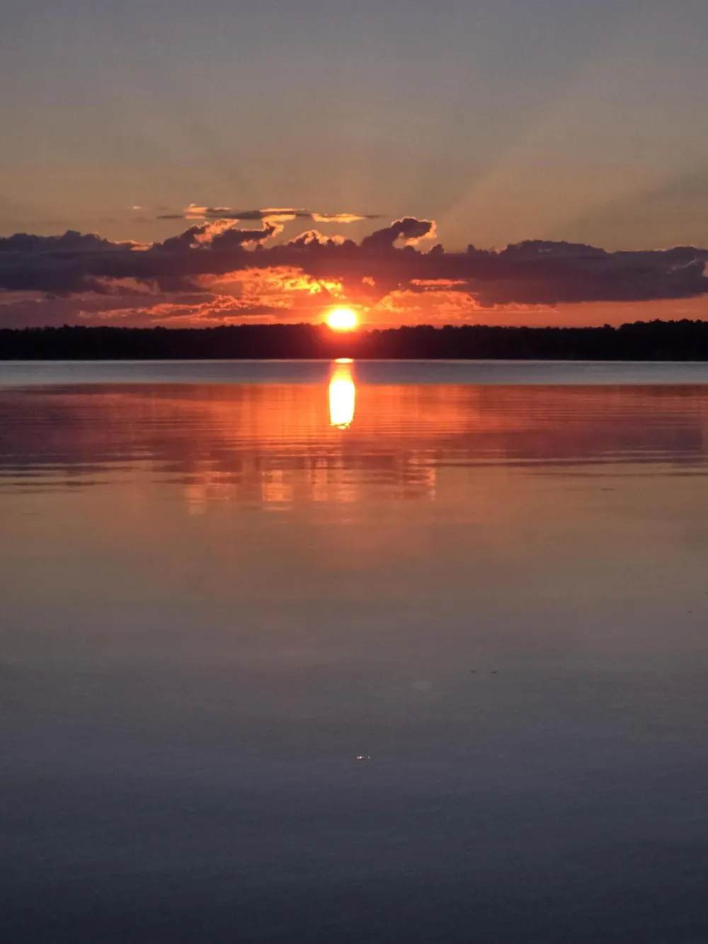 20214 Detente Road White Pigeon Township, MI 49099