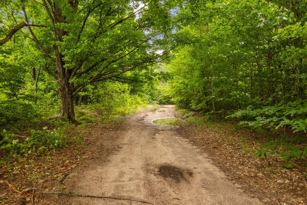 Garn Road Blair Township, MI 49685
