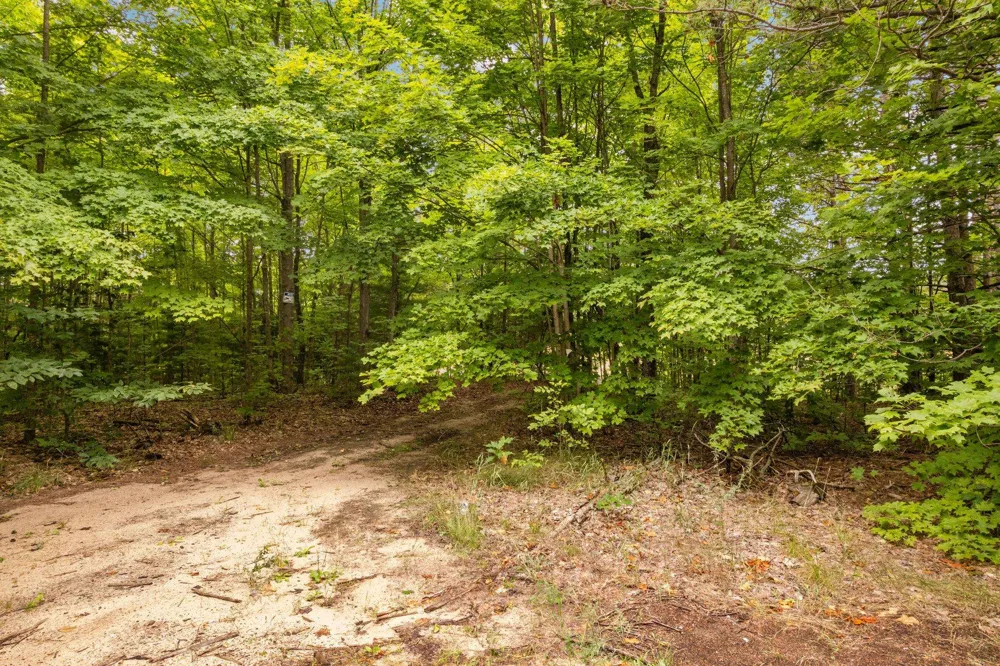 Garn Road Blair Township, MI 49685