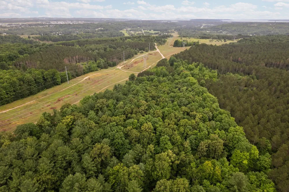 Garn Road Blair Township, MI 49685